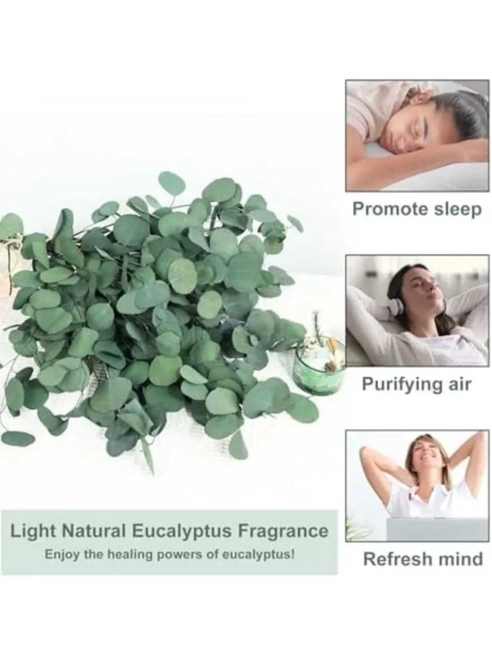 30 Pcs Dried Eucalyptus Stems - 17